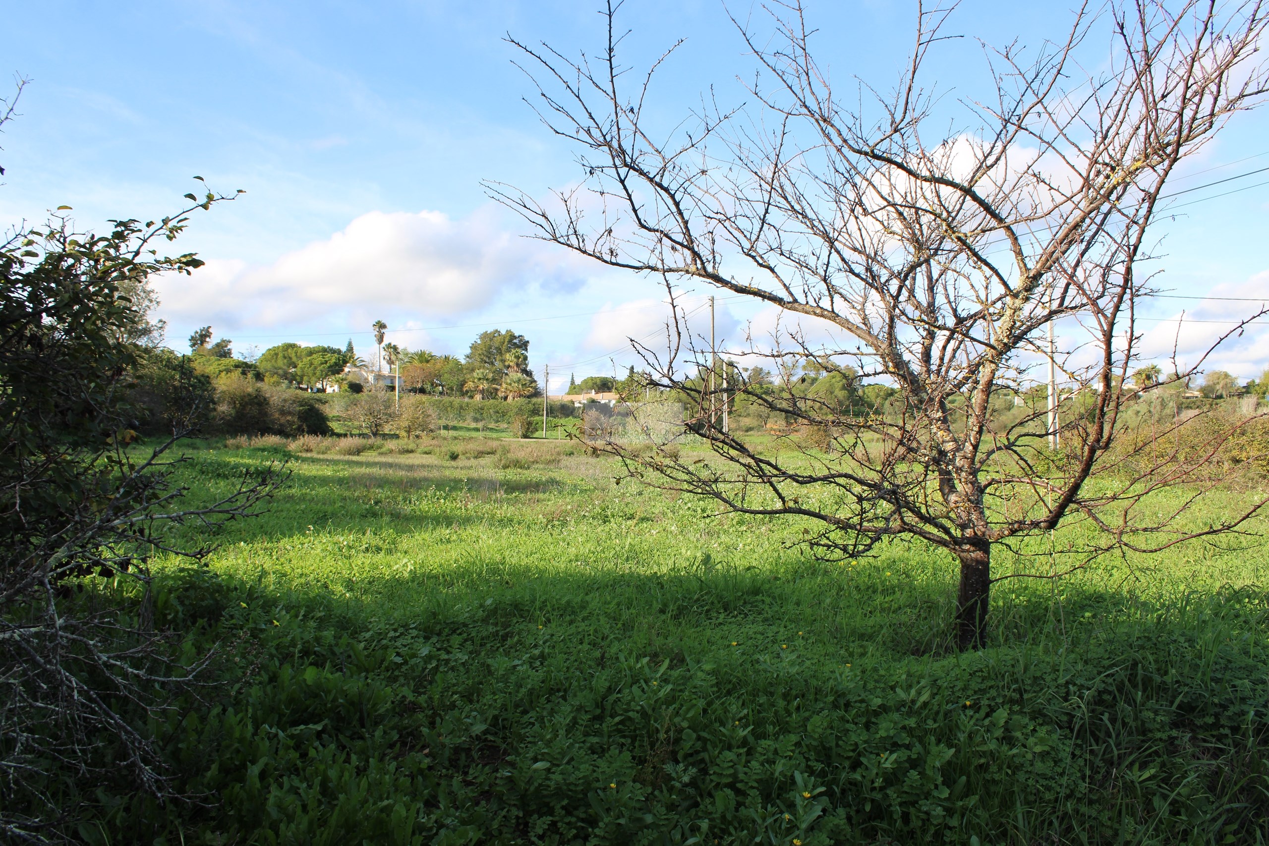 3 Bed, 1 Bath, HouseFor Sale, Lagos, Faro, 8600-250