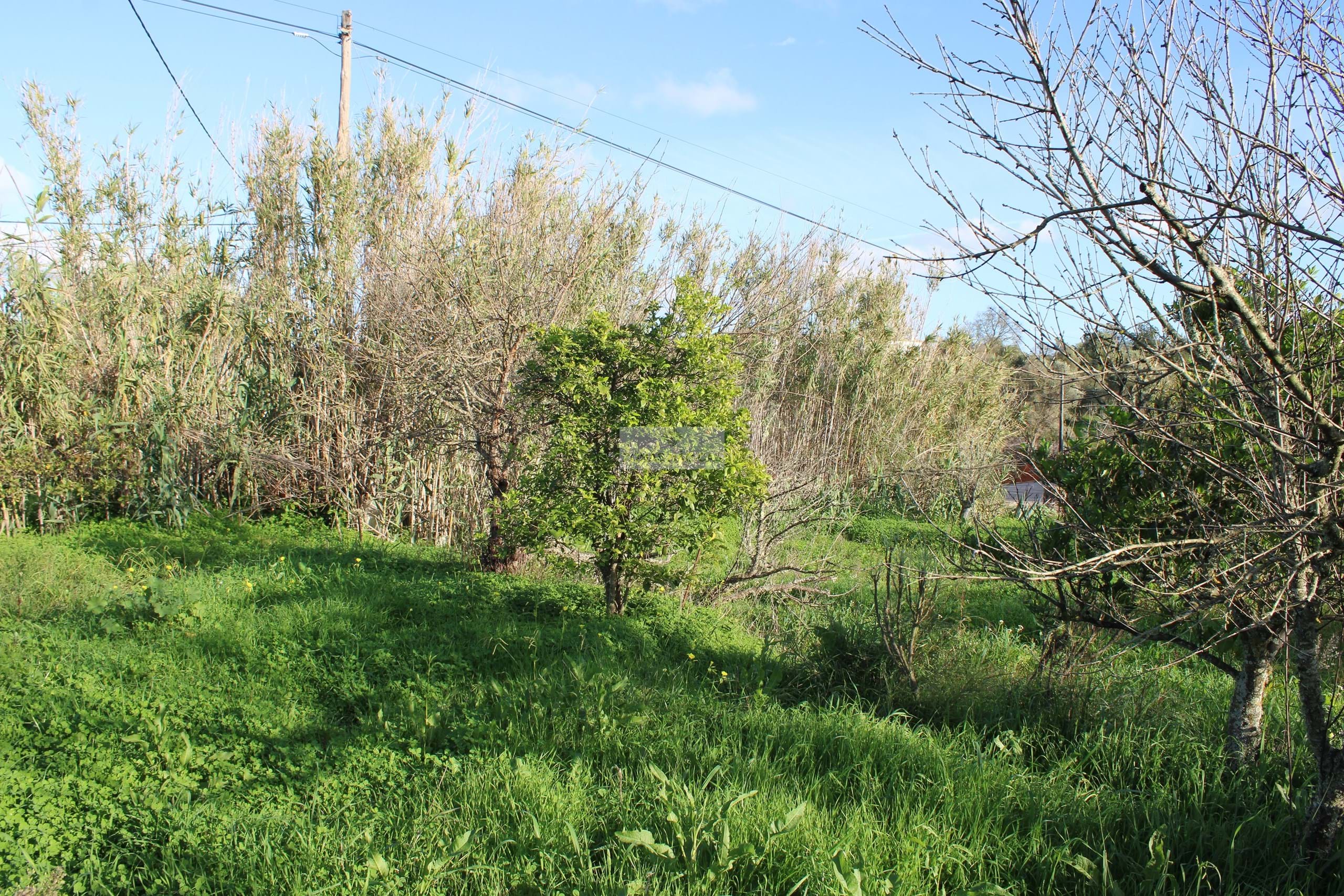 3 Bed, 1 Bath, HouseFor Sale, Lagos, Faro, 8600-250