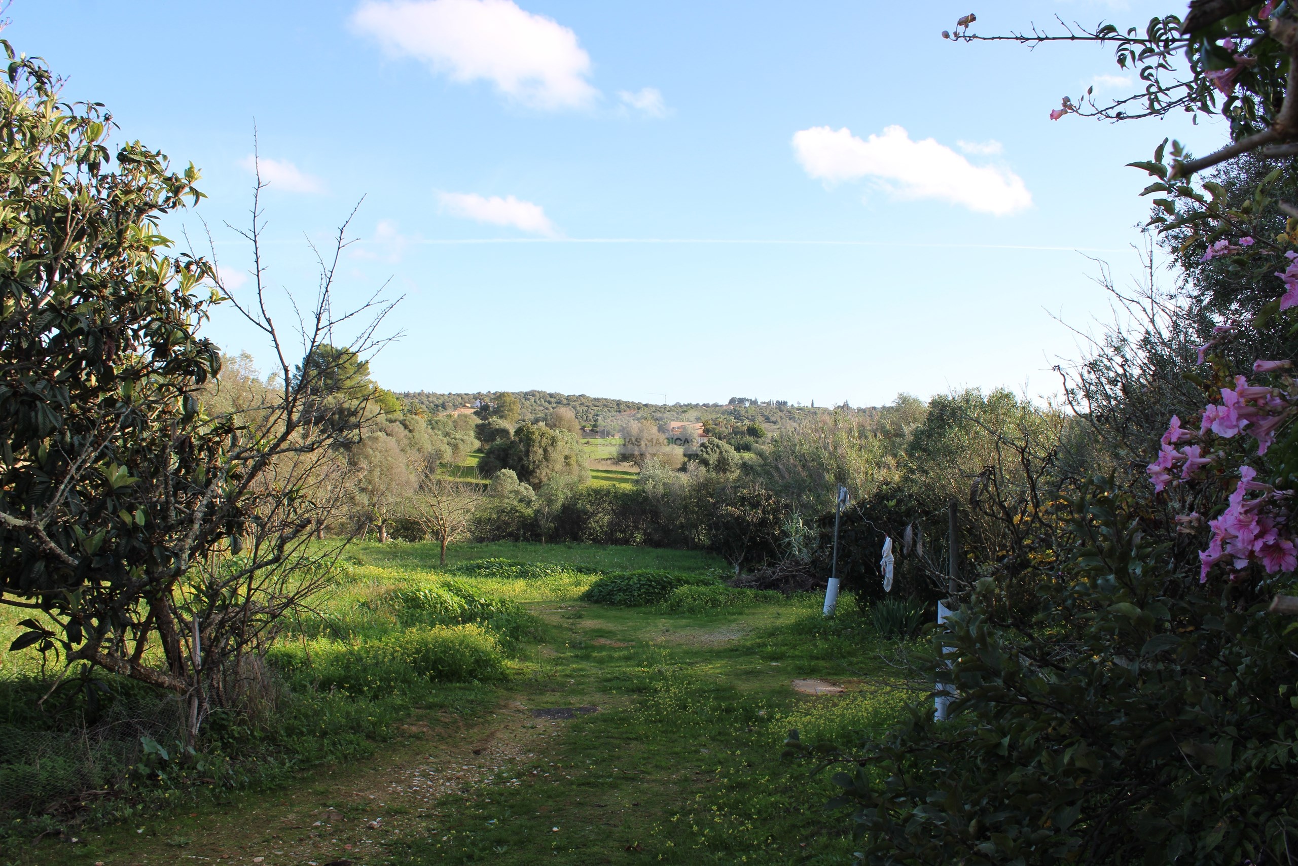 3 Bed, 1 Bath, HouseFor Sale, Lagos, Faro, 8600-250