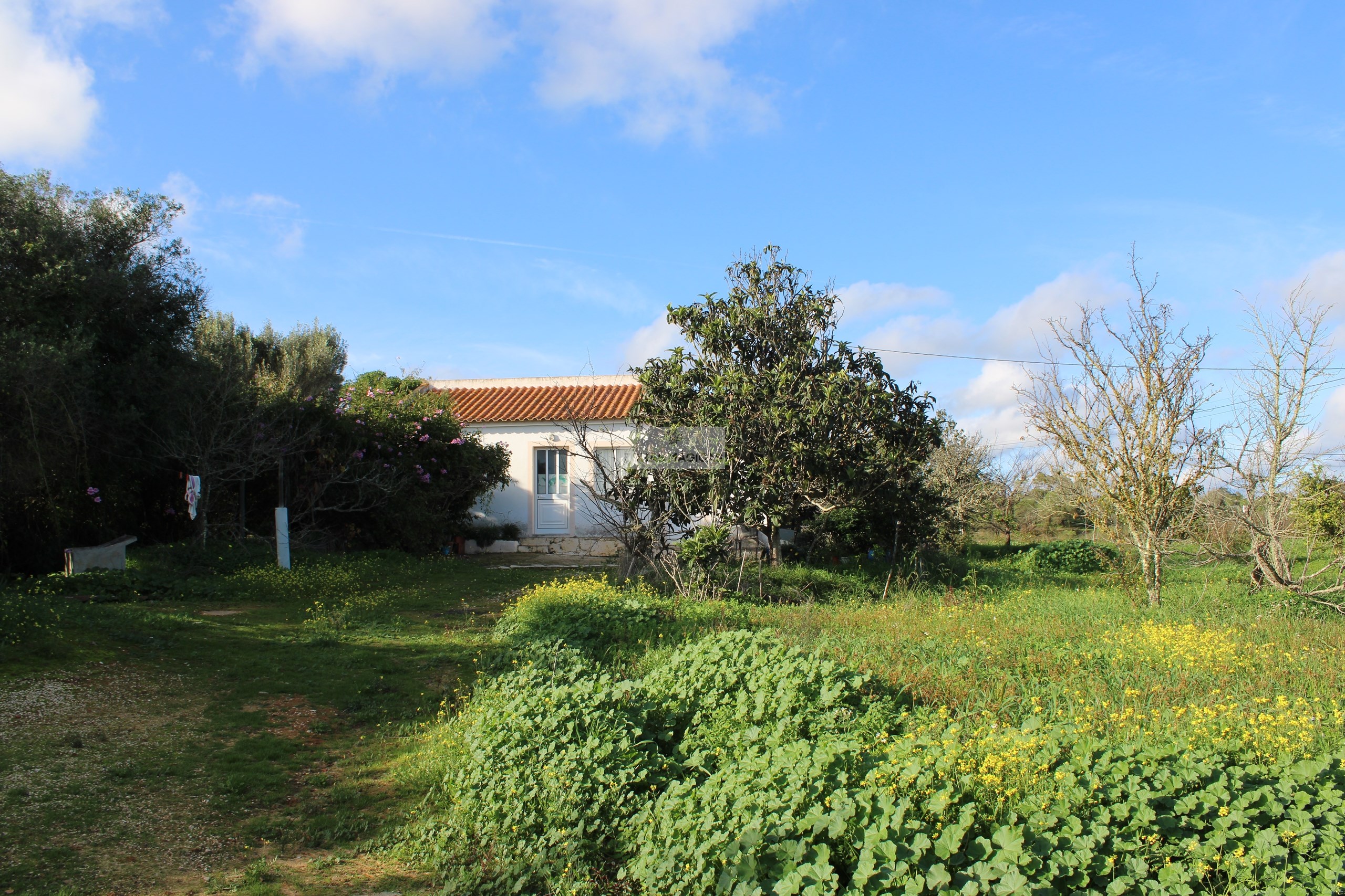 3 Bed, 1 Bath, HouseFor Sale, Lagos, Faro, 8600-250