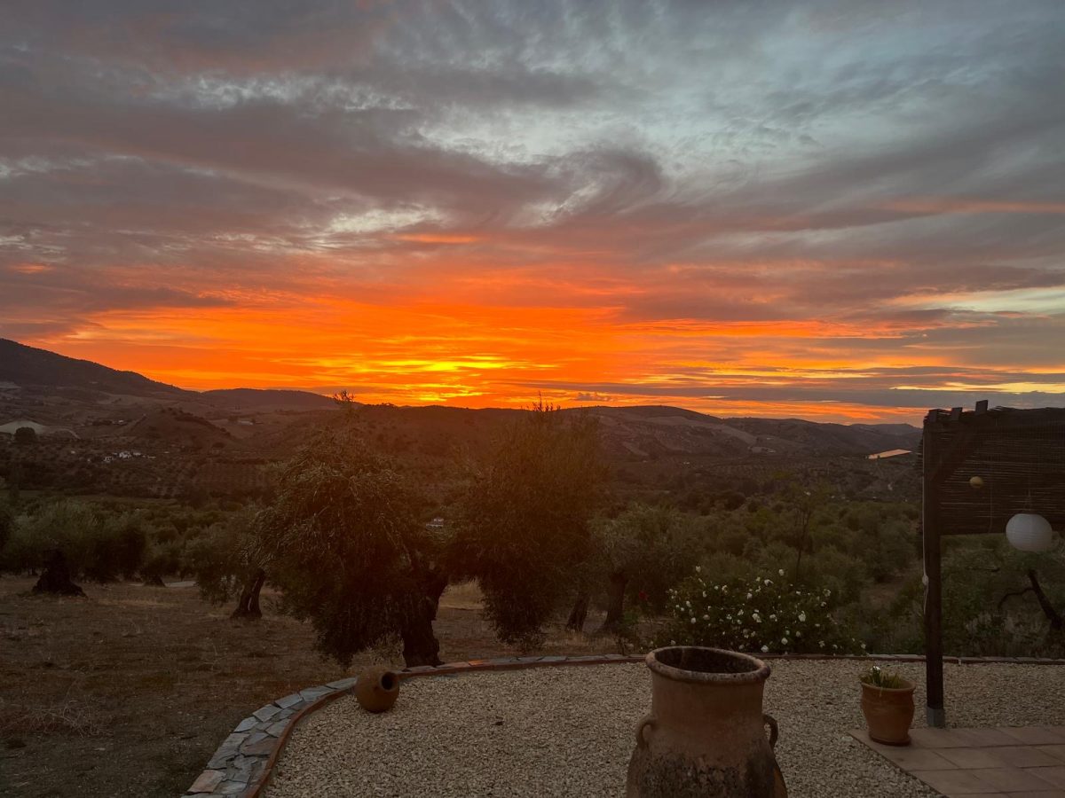 2 Bed, 2 Bath, HouseFor Sale, Algodonales, Andalucia