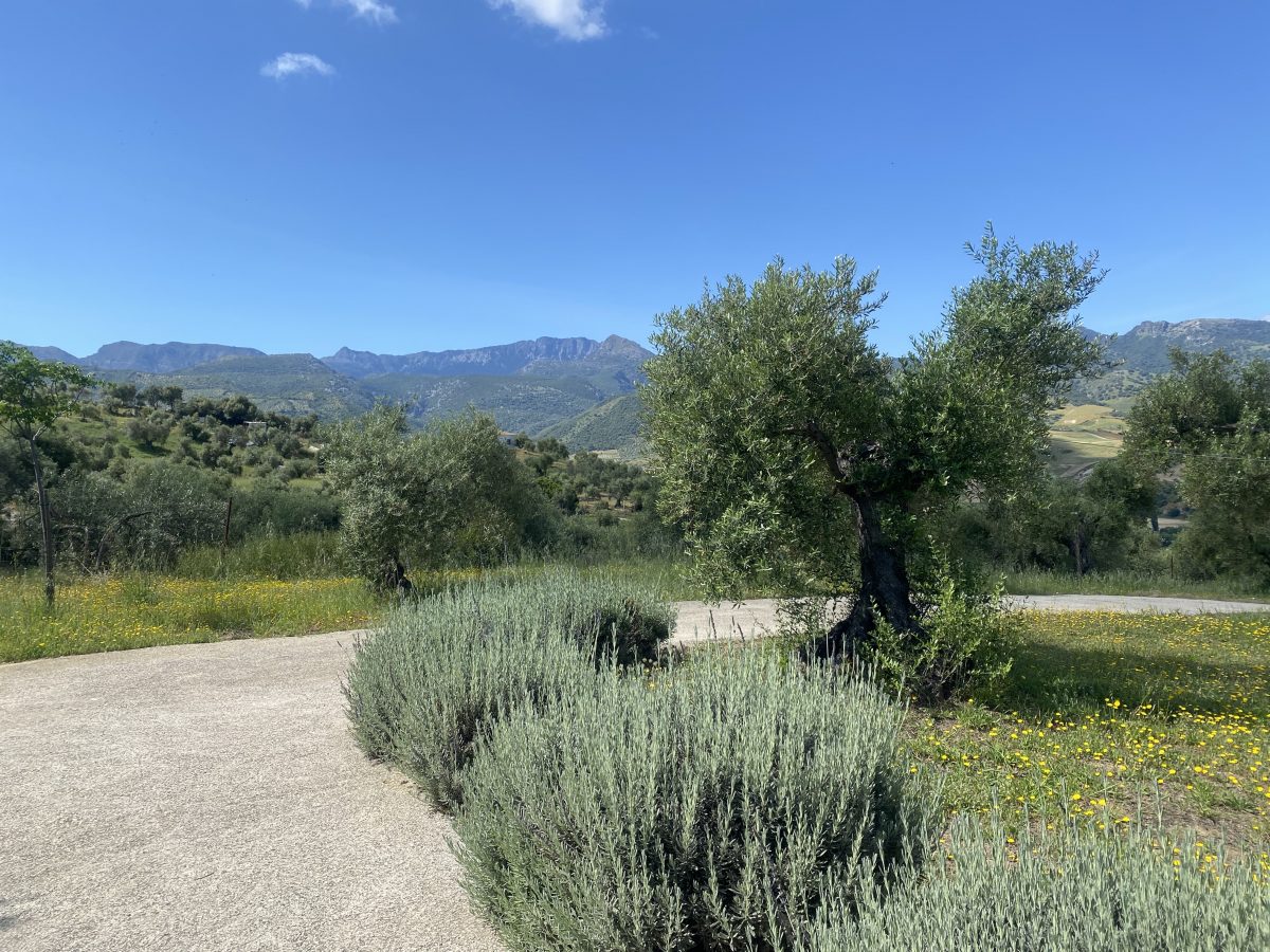 2 Bed, 2 Bath, HouseFor Sale, Algodonales, Andalucia