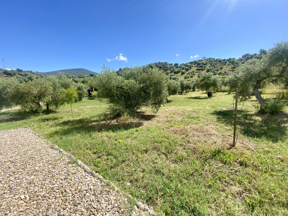 2 Bed, 2 Bath, HouseFor Sale, Algodonales, Andalucia