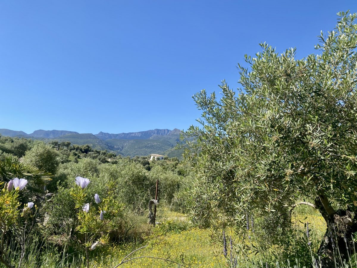 2 Bed, 2 Bath, HouseFor Sale, Algodonales, Andalucia