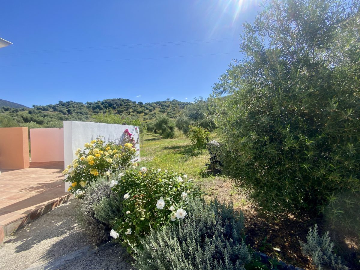 2 Bed, 2 Bath, HouseFor Sale, Algodonales, Andalucia