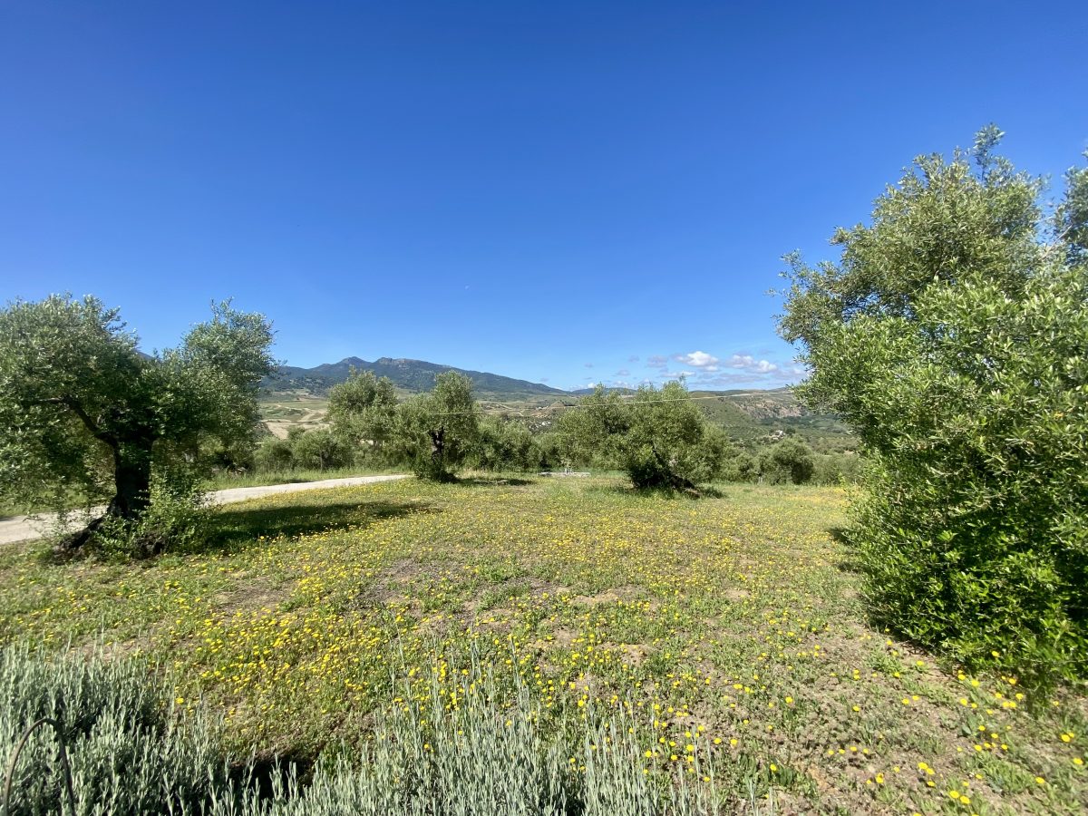 2 Bed, 2 Bath, HouseFor Sale, Algodonales, Andalucia