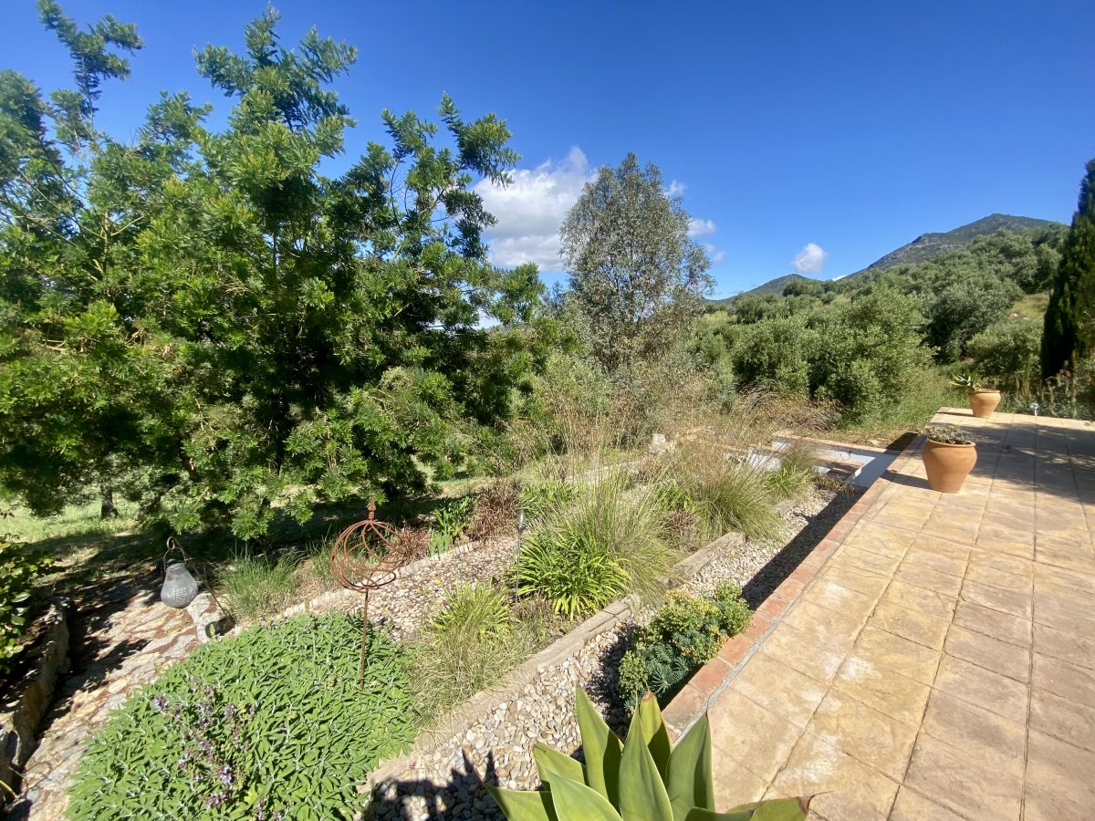 2 Bed, 2 Bath, HouseFor Sale, Algodonales, Andalucia