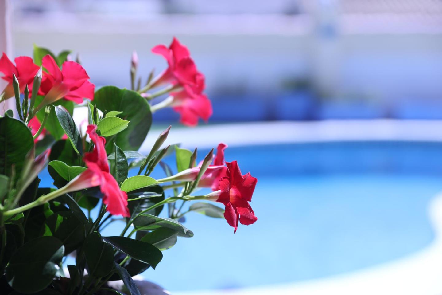 4 Bed, 2 Bath, HouseFor Sale, Empuriabrava, Girona, 17487 4 Bed, 2 Bath, HouseFor Sale, Empuriabrava, Girona, 17487