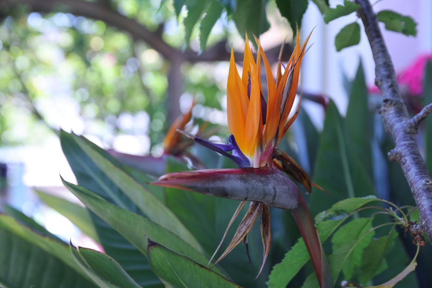 4 Bed, 2 Bath, HouseFor Sale, Empuriabrava, Girona, 17487 4 Bed, 2 Bath, HouseFor Sale, Empuriabrava, Girona, 17487