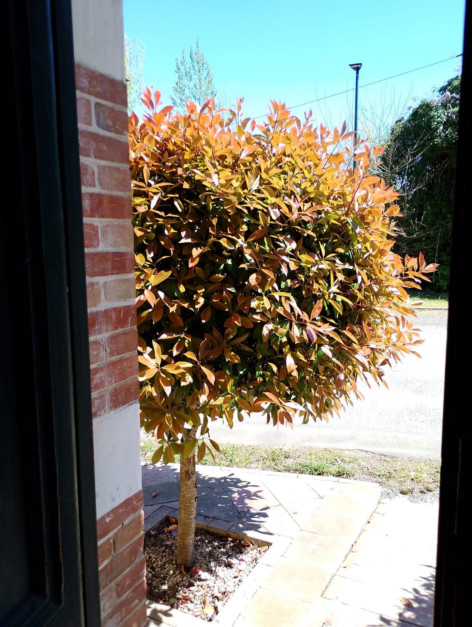 4 Bed, 1 Bath, HouseFor Sale, L'Isle-en-Dodon, Haute-Garonne, Midi-Pyrenees, 31230