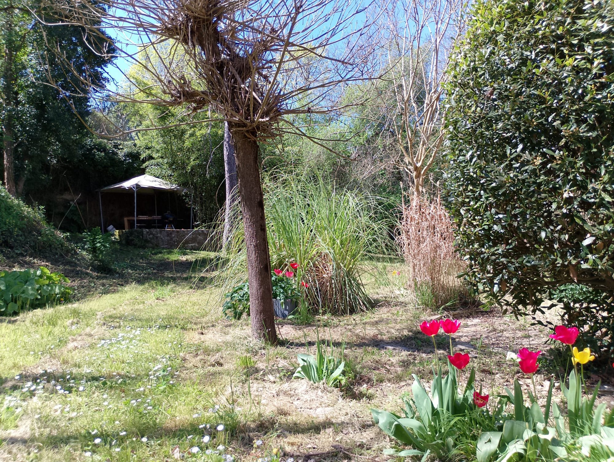 4 Bed, 1 Bath, HouseFor Sale, L'Isle-en-Dodon, Haute-Garonne, Midi-Pyrenees, 31230