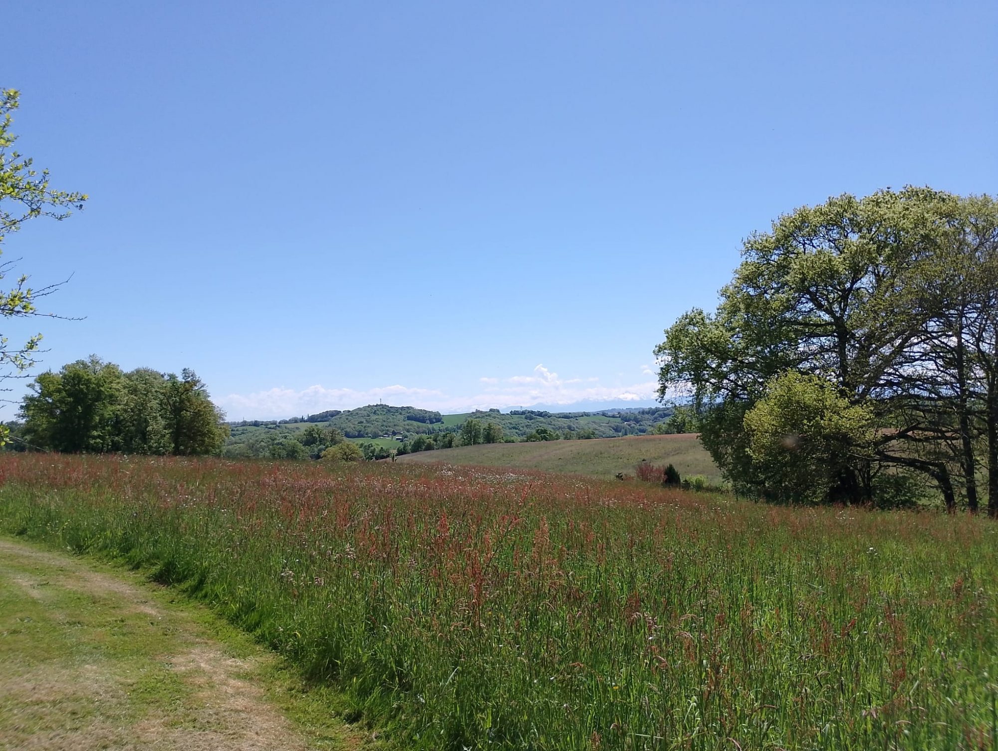 4 Bed, 1 Bath, HouseFor Sale, Boulogne-sur-Gesse, Haute-Garonne, Midi-Pyrenees, 31350