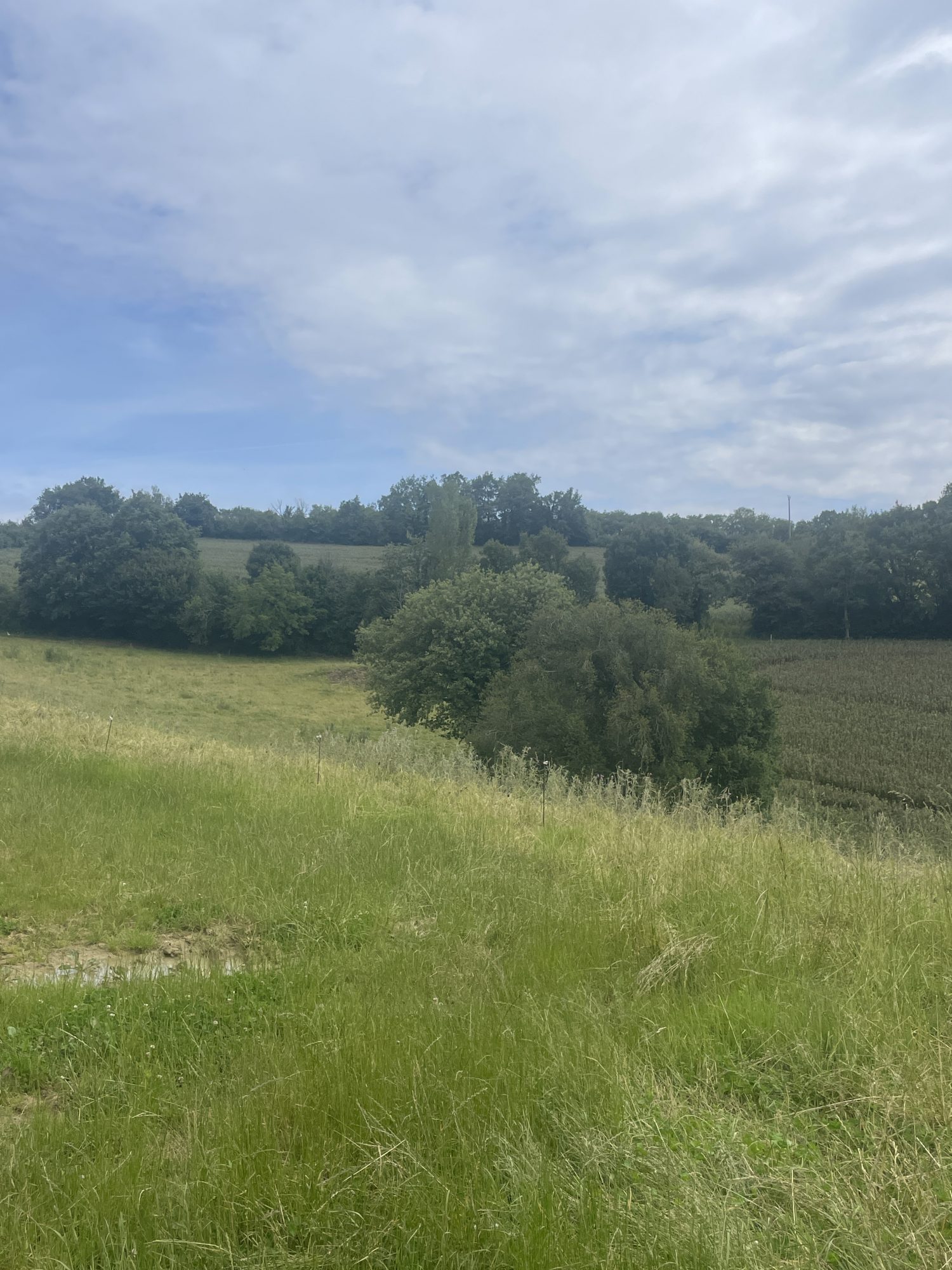 2 Bed, HouseFor Sale, SImorre, Gers, Midi-Pyrenees, 32420