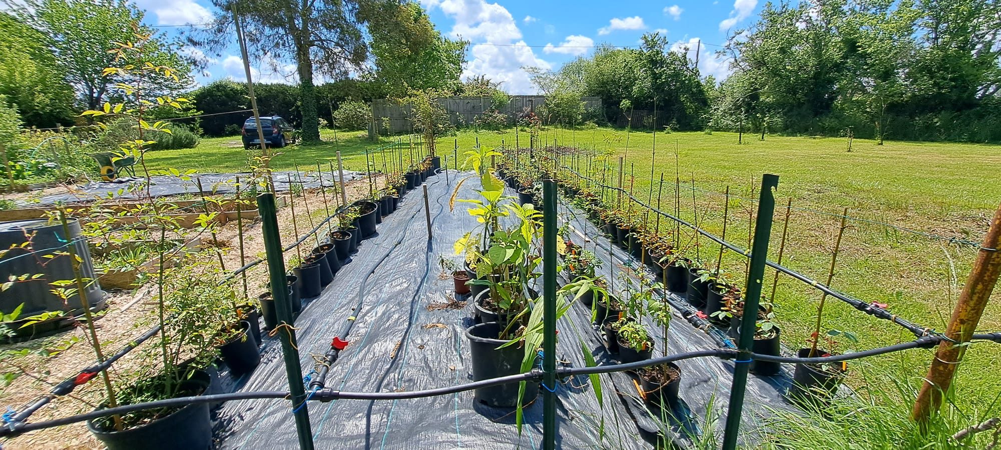 4 Bed, 1 Bath, HouseFor Sale, Plaisance, Gers, Midi-Pyrenees, 32160