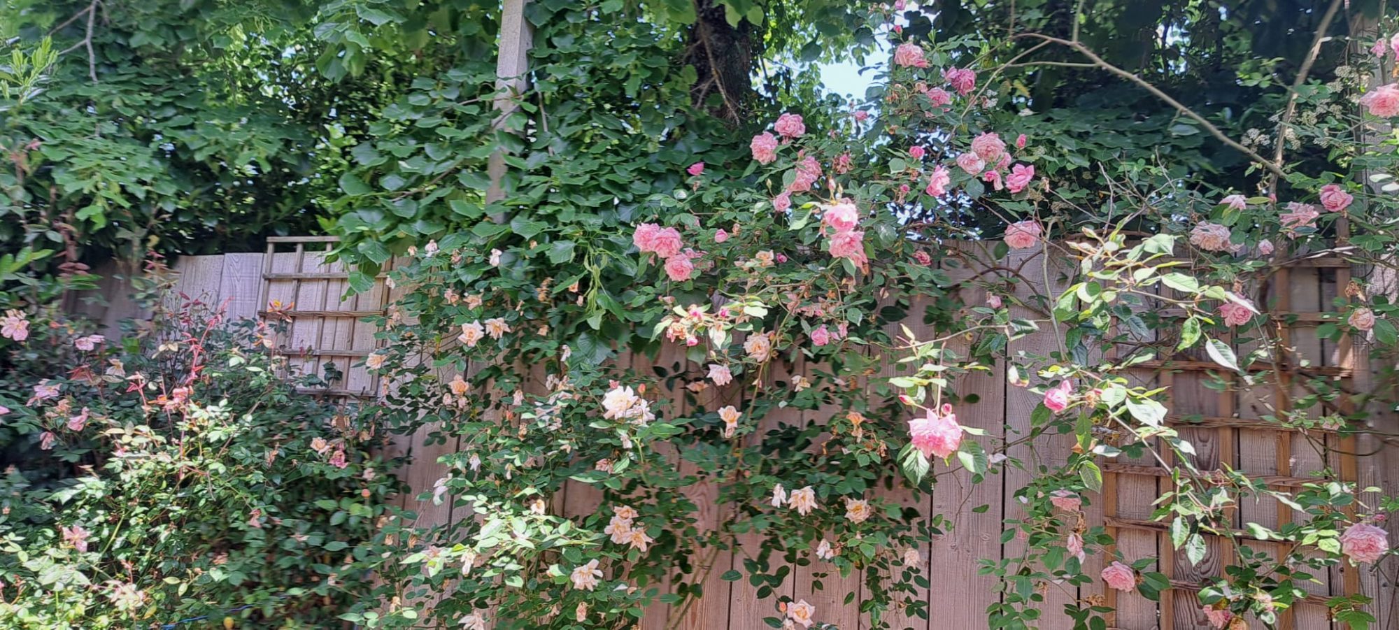 4 Bed, 1 Bath, HouseFor Sale, Plaisance, Gers, Midi-Pyrenees, 32160