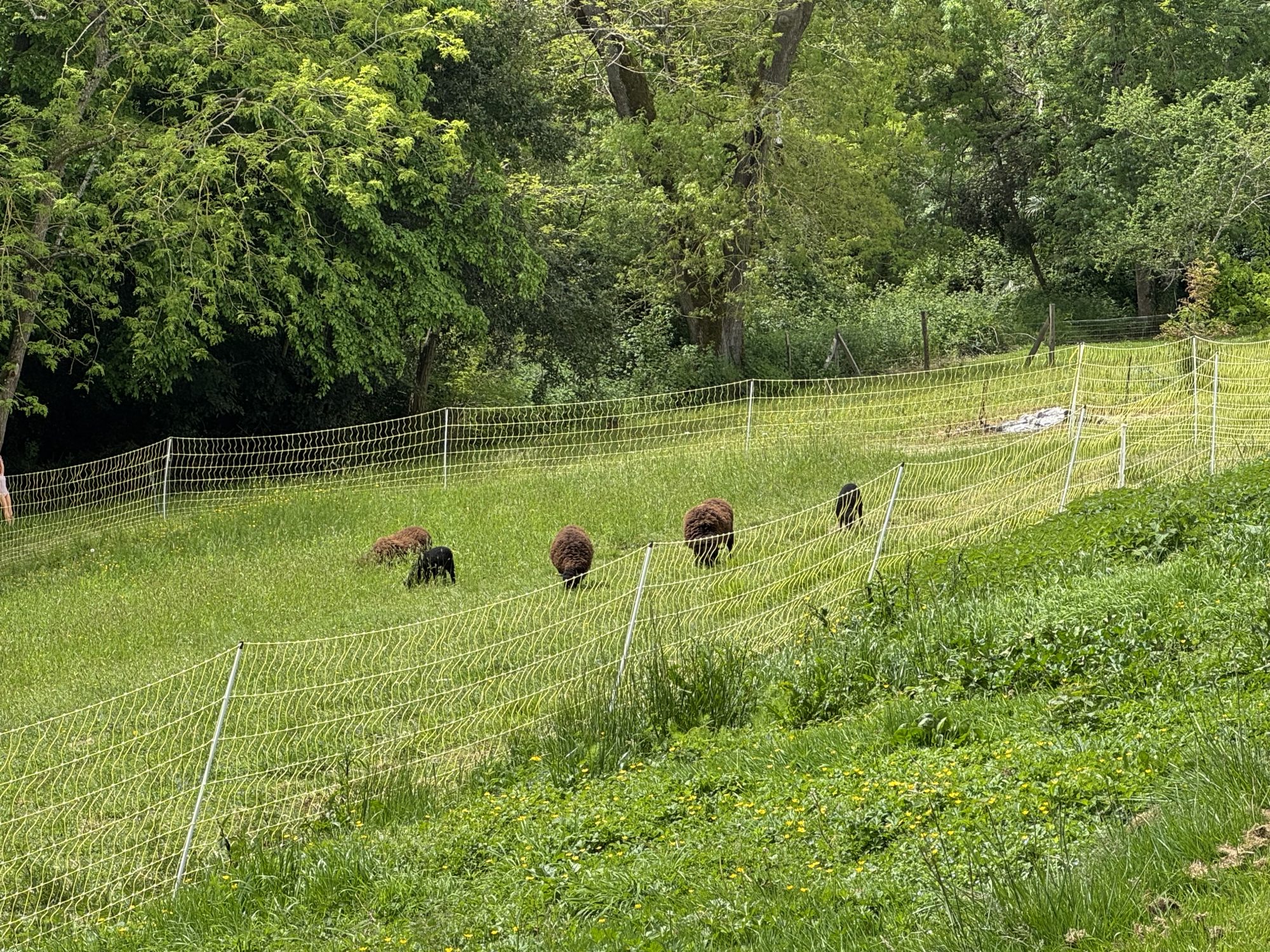 4 Bed, 2 Bath, HouseFor Sale, Boulogne-sur-Gesse, Haute-Garonne, Midi-Pyrenees, 31350