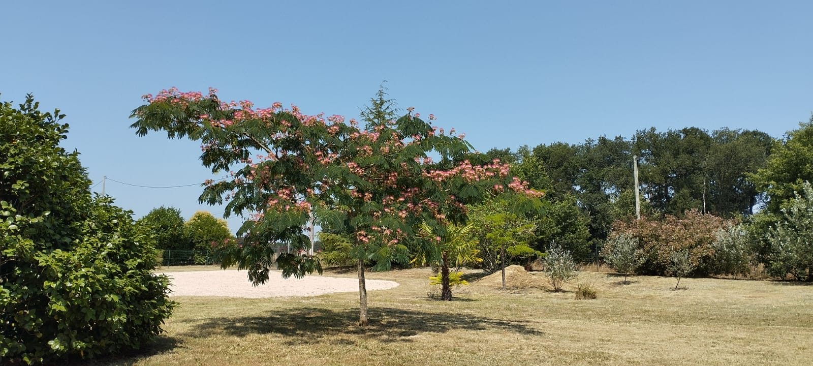 4 Bed, 1 Bath, HouseFor Sale, MIrande, Gers, Midi-Pyrenees, 32300