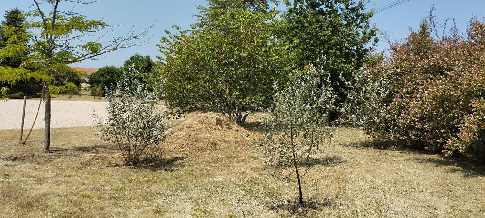 4 Bed, 1 Bath, HouseFor Sale, MIrande, Gers, Midi-Pyrenees, 32300