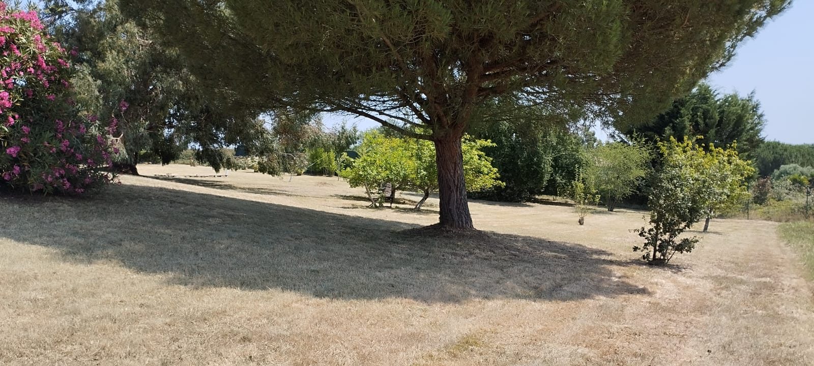 4 Bed, 1 Bath, HouseFor Sale, MIrande, Gers, Midi-Pyrenees, 32300