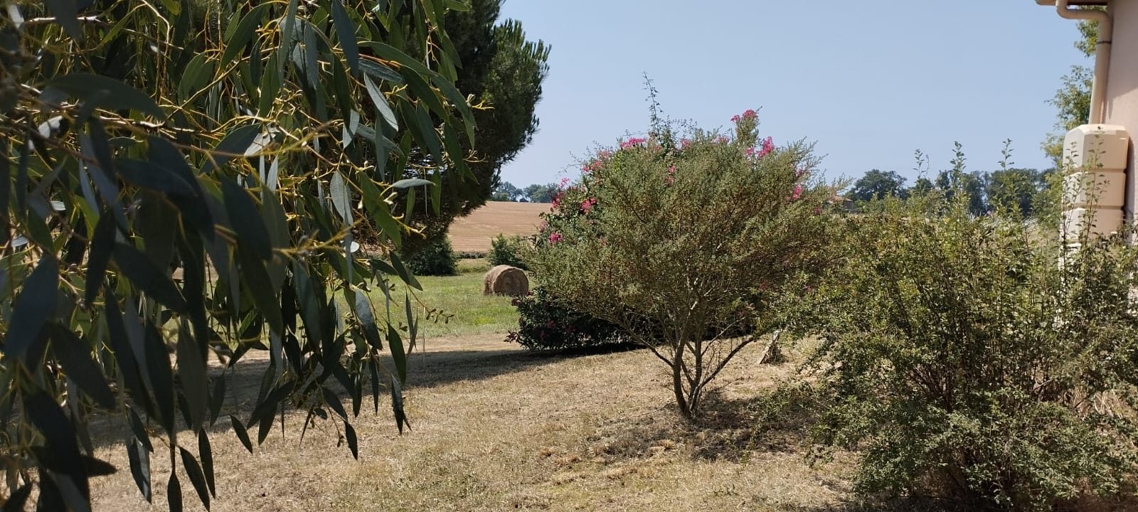 4 Bed, 1 Bath, HouseFor Sale, MIrande, Gers, Midi-Pyrenees, 32300