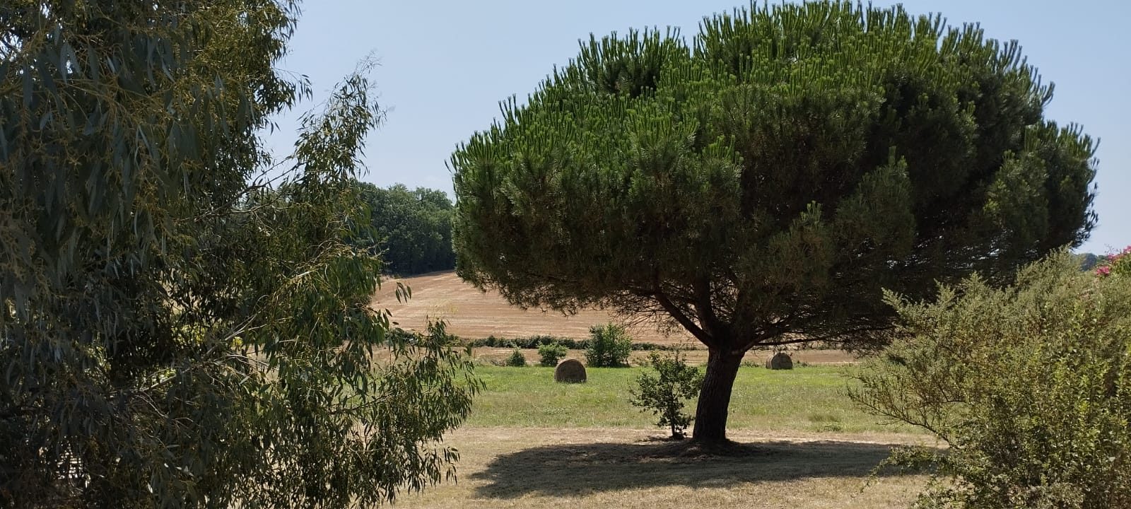 4 Bed, 1 Bath, HouseFor Sale, MIrande, Gers, Midi-Pyrenees, 32300