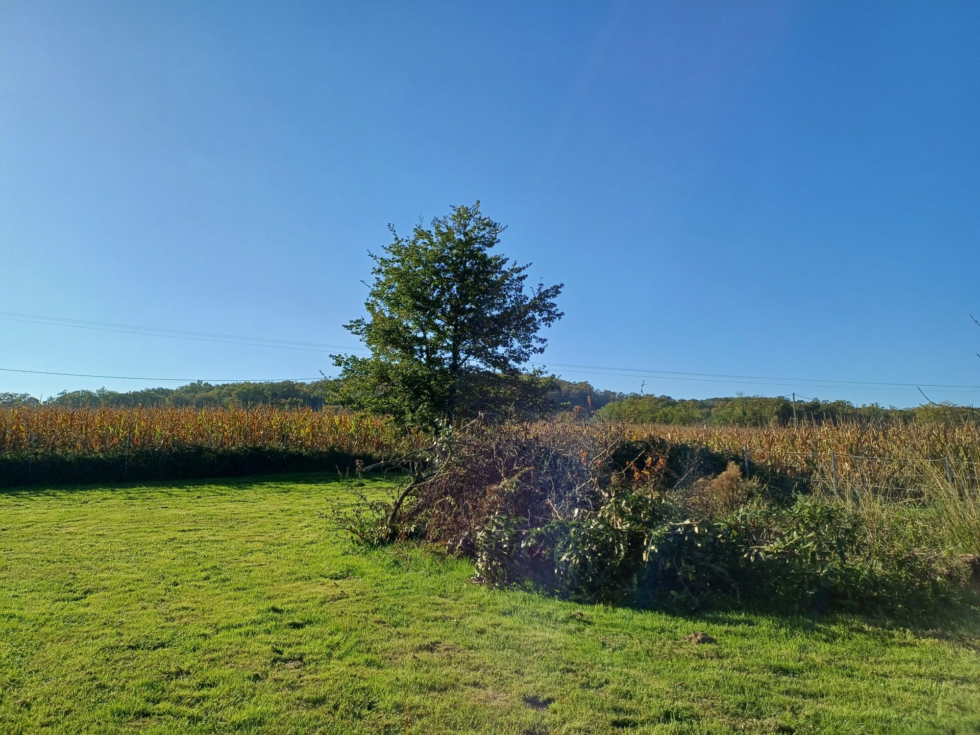 6 Bed, 5 Bath, HouseFor Sale, MarcIac, Gers, Midi-Pyrenees, 32230