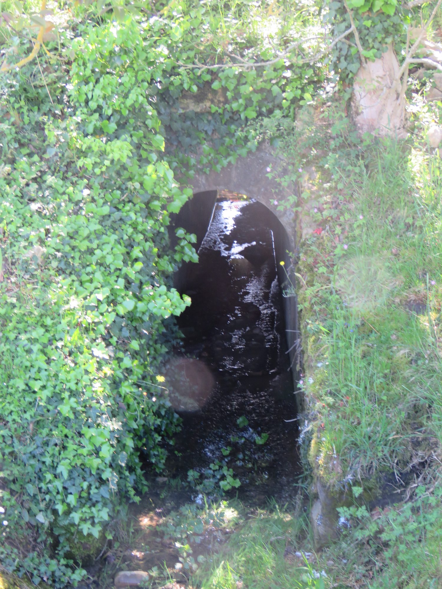 3 Bed, HouseFor Sale, Castelnau-Magnoac, Hautes-Pyrenees, Midi-Pyrenees, 65230