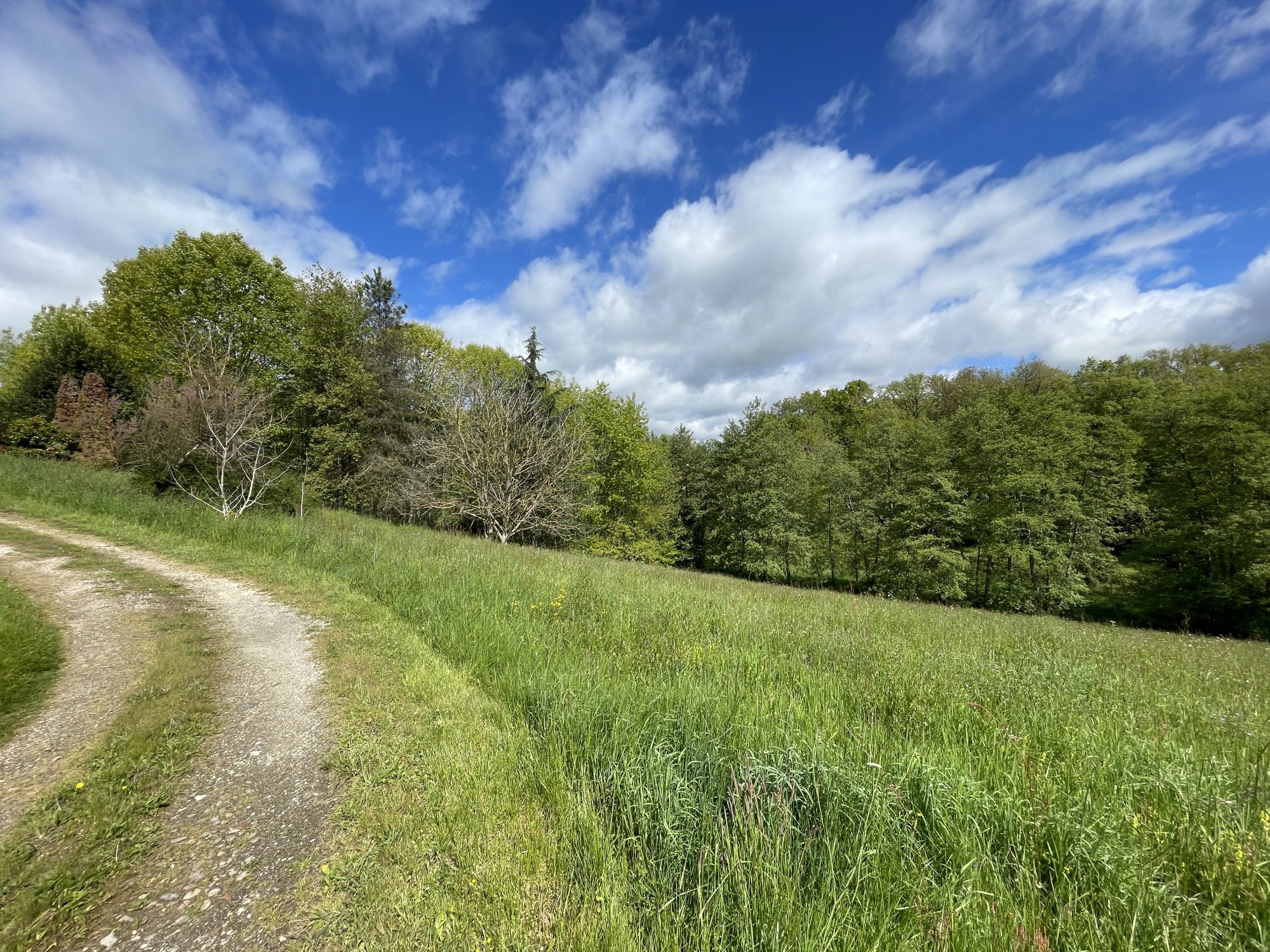 4 Bed, 3 Bath, HouseFor Sale, Masseube, Gers, Midi-Pyrenees, 32140