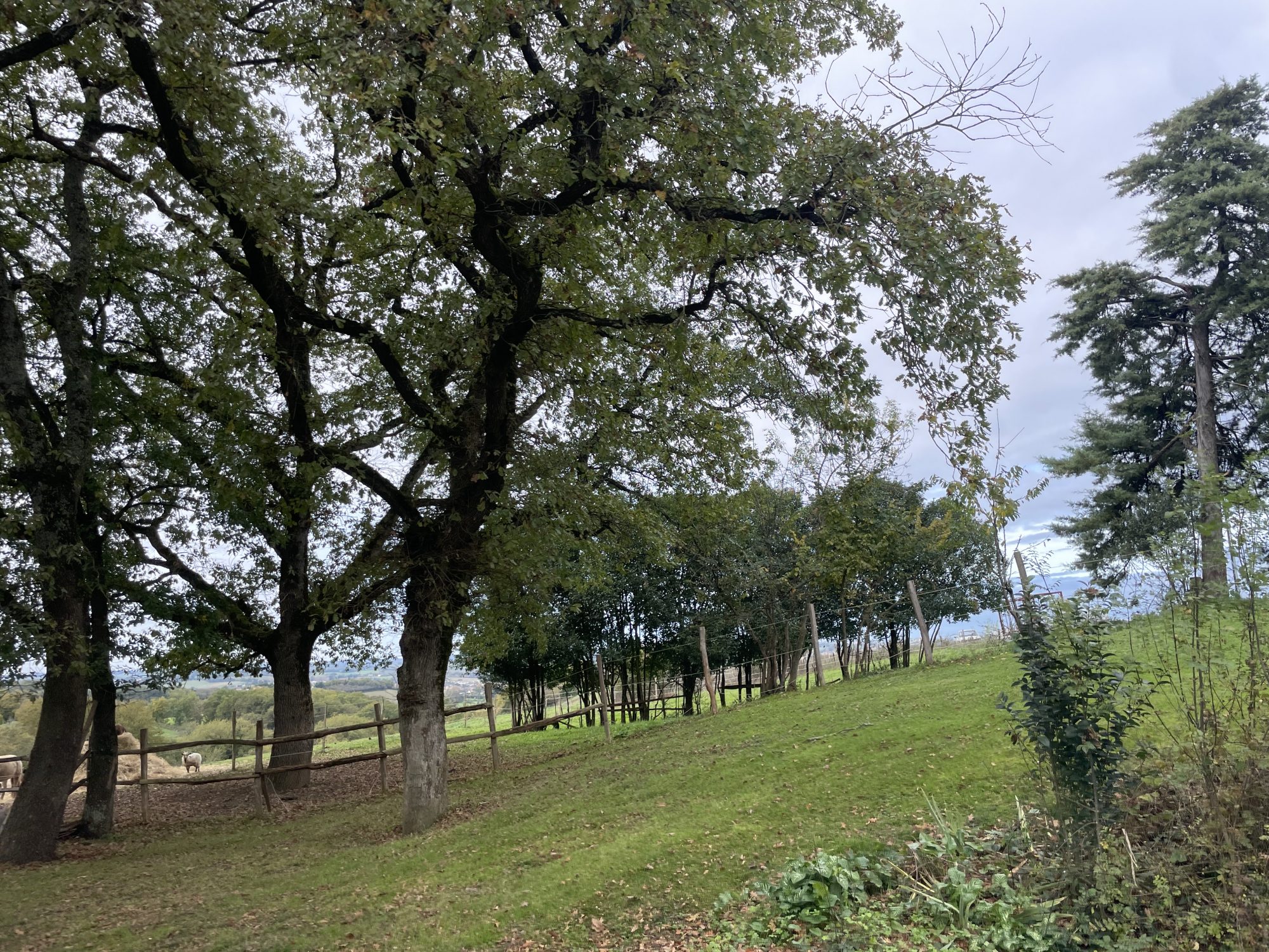 4 Bed, 1 Bath, HouseFor Sale, Castillon-Debats, Gers, Midi-Pyrenees, 32190