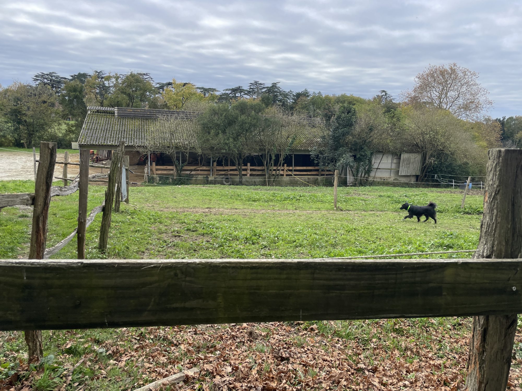 4 Bed, 1 Bath, HouseFor Sale, Castillon-Debats, Gers, Midi-Pyrenees, 32190