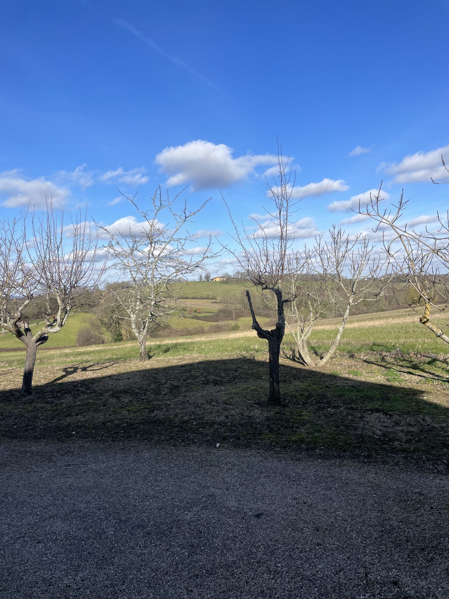 2 Bed, 1 Bath, HouseFor Sale, Aussos, Gers, Midi-Pyrenees, 32140