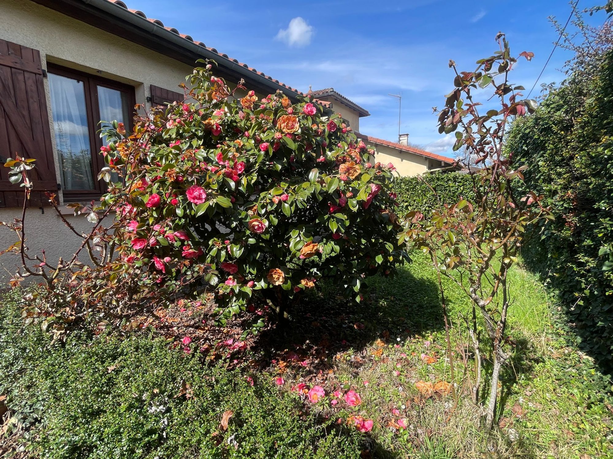 3 Bed, 1 Bath, HouseFor Sale, Masseube, Gers, Midi-Pyrenees, 32140