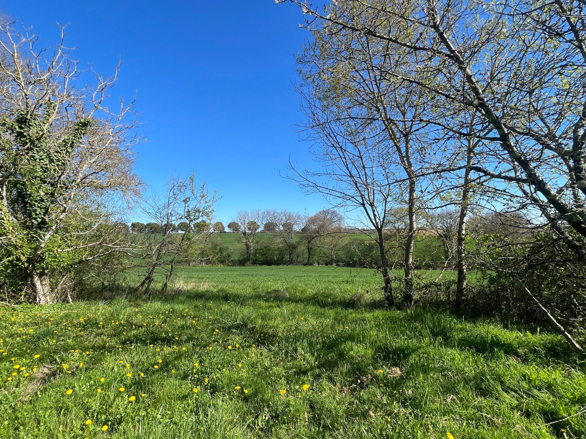 5 Bed, HouseFor Sale, L'isle-De-Noe, Gers, Midi-Pyrenees, 32300