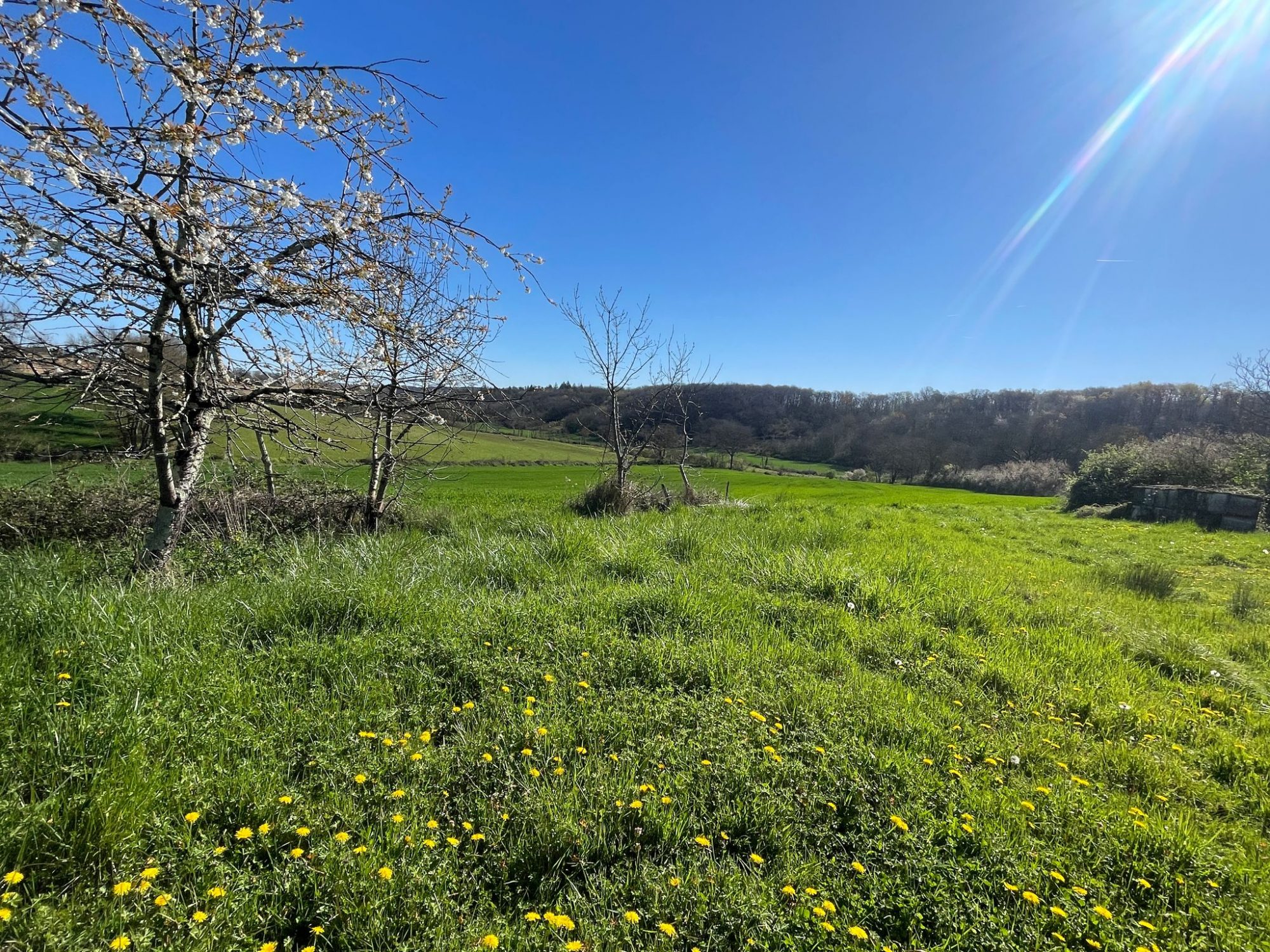 5 Bed, HouseFor Sale, L'isle-De-Noe, Gers, Midi-Pyrenees, 32300