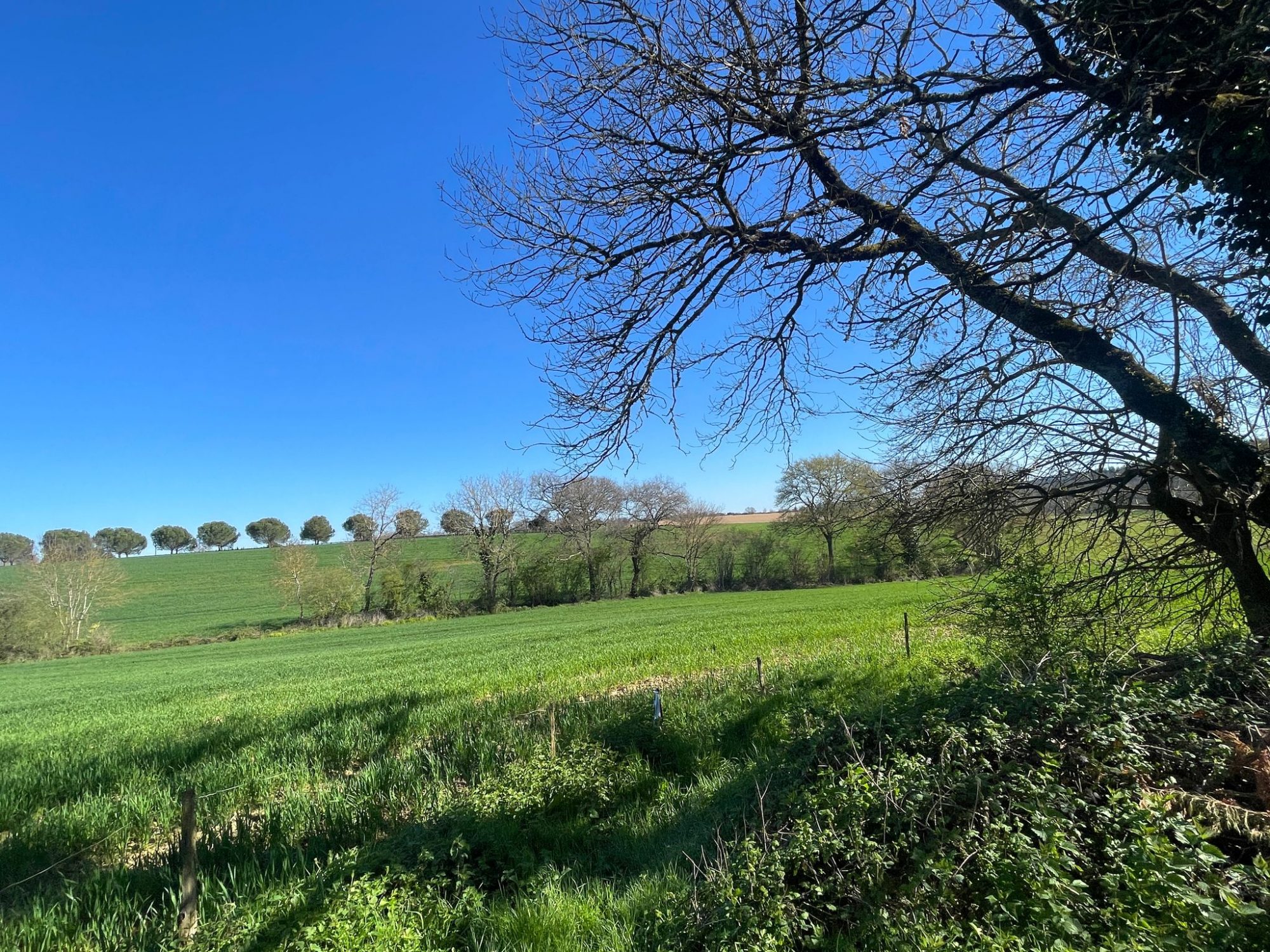 5 Bed, HouseFor Sale, L'isle-De-Noe, Gers, Midi-Pyrenees, 32300