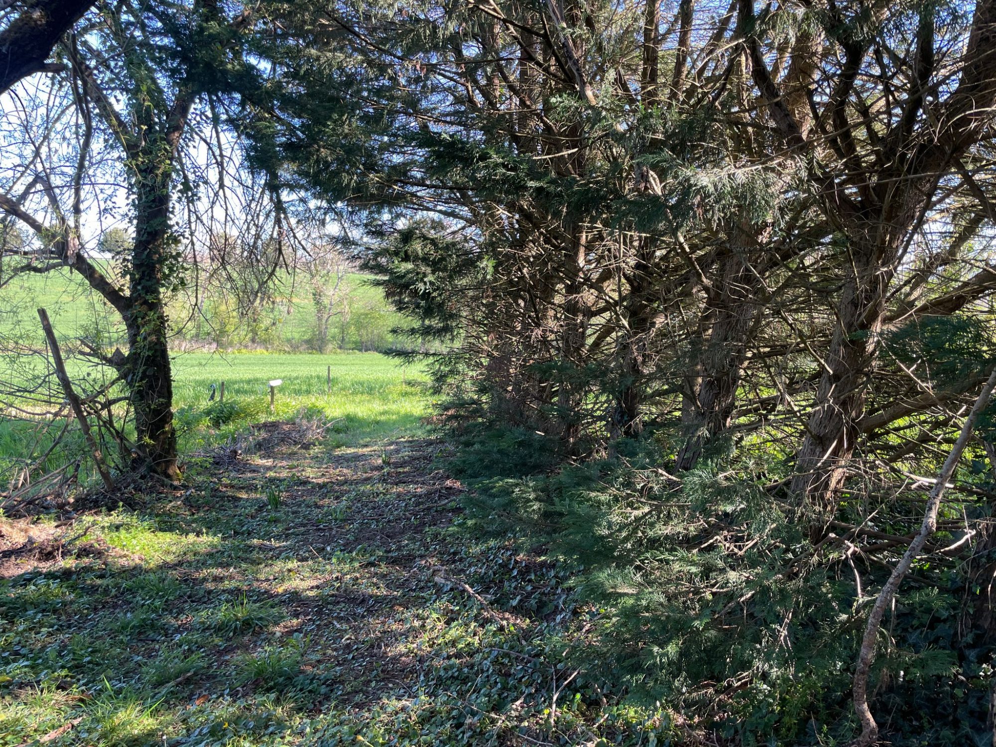 5 Bed, HouseFor Sale, L'isle-De-Noe, Gers, Midi-Pyrenees, 32300