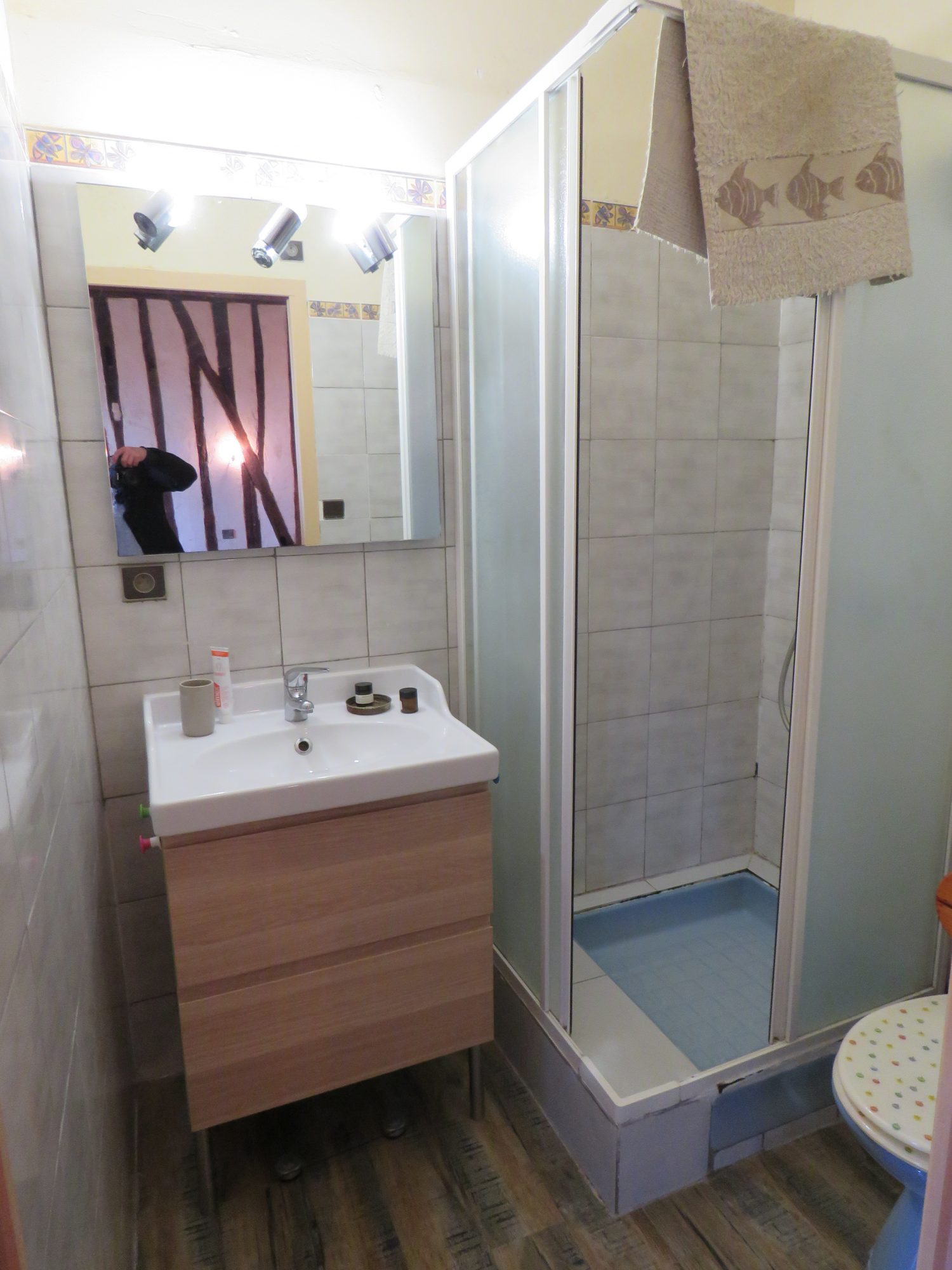 4 Bed, 1 Bath, HouseFor Sale, Thermes-Magnoac, Hautes-Pyrenees, Midi-Pyrenees, 65230