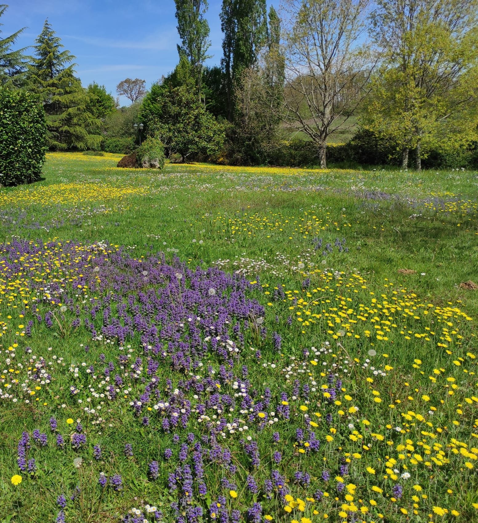 4 Bed, 3 Bath, HouseFor Sale, Galan, Hautes-Pyrenees, Midi-Pyrenees, 65330