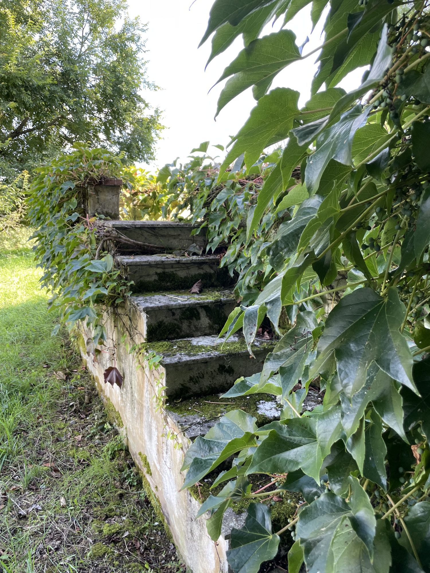 7 Bed, 2 Bath, HouseFor Sale, MarcIac, Gers, Midi-Pyrenees, 32230