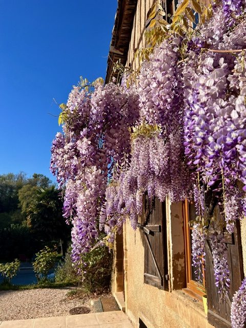 7 Bed, 2 Bath, HouseFor Sale, Castelnau-Magnoac, Hautes-Pyrenees, Midi-Pyrenees, 65230