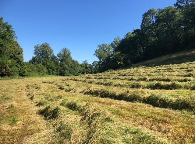 7 Bed, 2 Bath, HouseFor Sale, Castelnau-Magnoac, Hautes-Pyrenees, Midi-Pyrenees, 65230