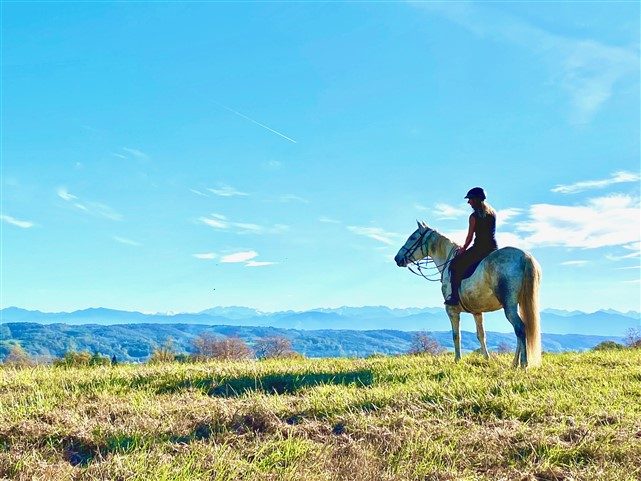 7 Bed, 2 Bath, HouseFor Sale, Castelnau-Magnoac, Hautes-Pyrenees, Midi-Pyrenees, 65230