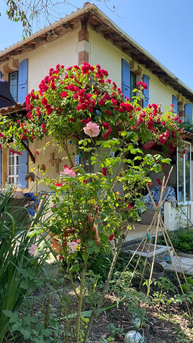 15 Bed, 8 Bath, HouseFor Sale, MIrande, Gers, Midi-Pyrenees, 32300