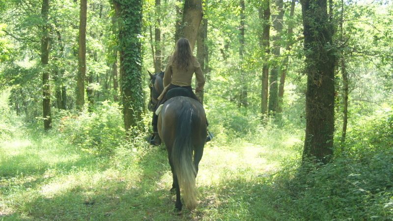 4 Bed, 1 Bath, HouseFor Sale, VIc-Fezensac, Gers, Midi-Pyrenees, 32190