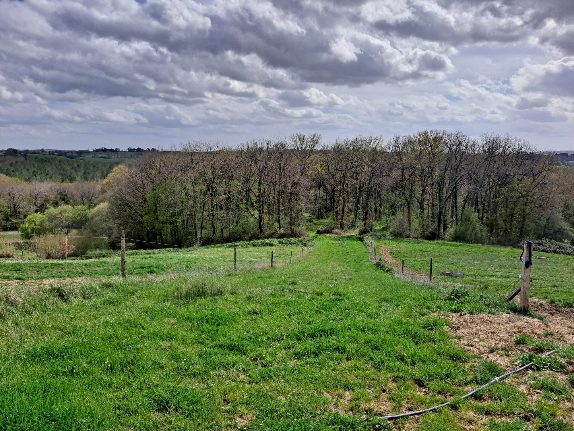 4 Bed, 1 Bath, HouseFor Sale, VIc-Fezensac, Gers, Midi-Pyrenees, 32190