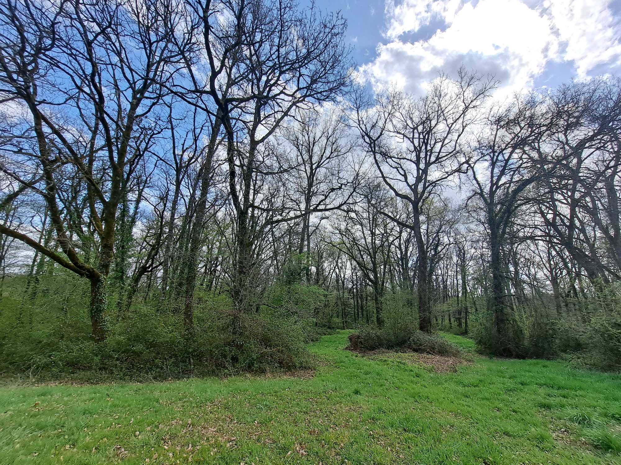 4 Bed, 1 Bath, HouseFor Sale, VIc-Fezensac, Gers, Midi-Pyrenees, 32190