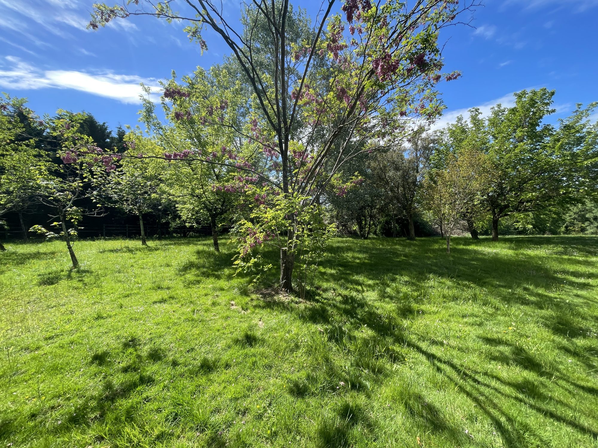 3 Bed, 1 Bath, HouseFor Sale, Demu, Gers, Midi-Pyrenees, 32190