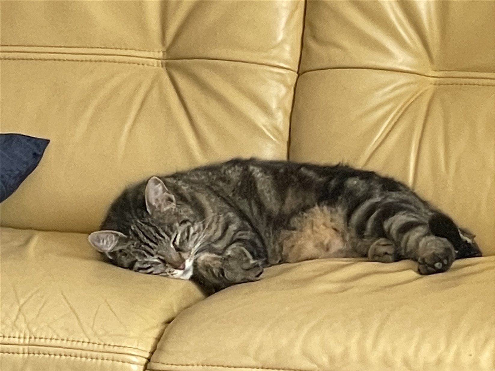 HouseFor Sale, SeIssan, Gers, Midi-Pyrenees, 32260