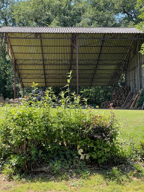 9 Bed, 1 Bath, HouseFor Sale, Lupiac, Gers, Midi-Pyrenees, 32290