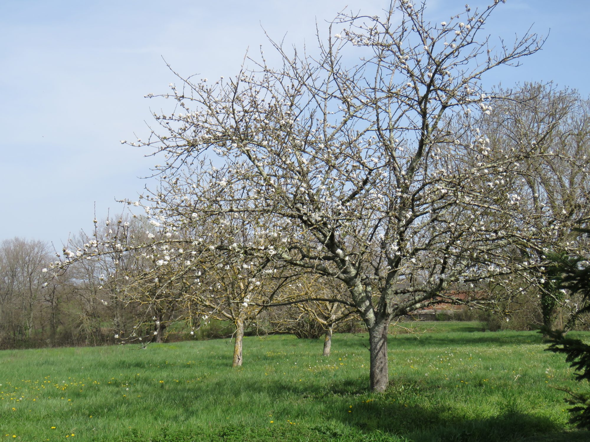 2 Bed, HouseFor Sale, Masseube, Gers, Midi-Pyrenees, 32140